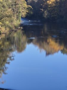 river with shadow of trees over the water